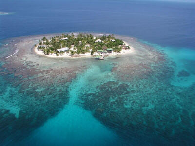 One of the great snorkel spots: Cayos Grande, Honduras. 