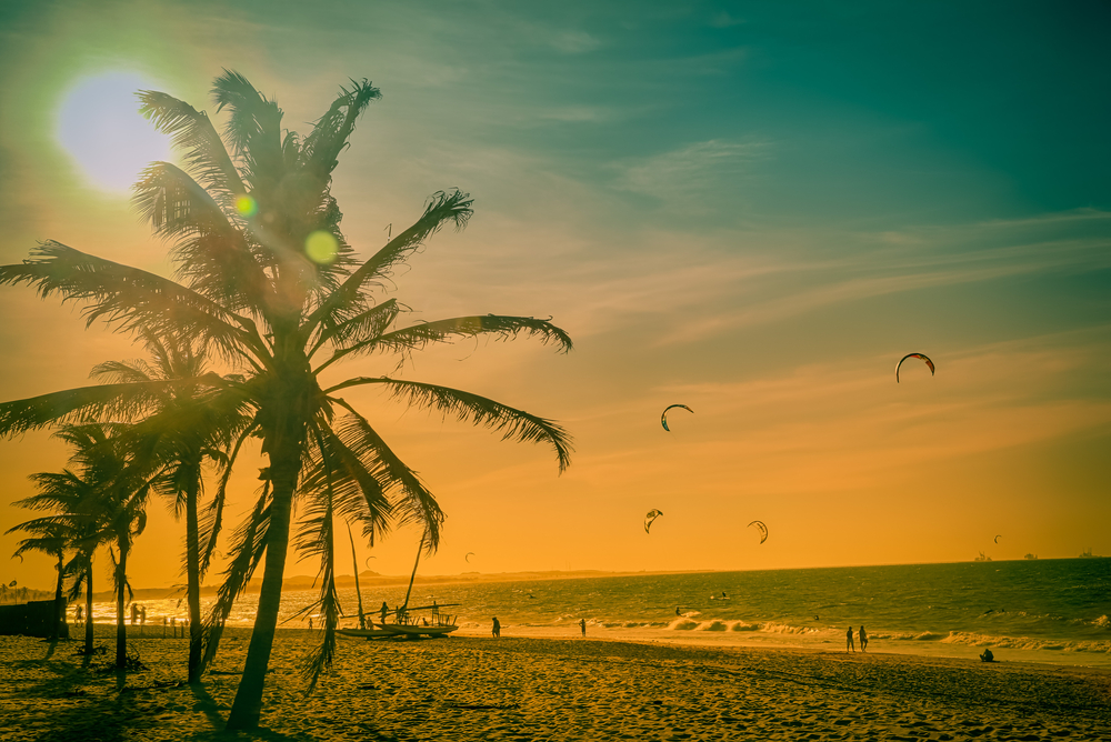 beach with orange sunlight and palm trees