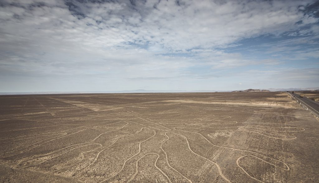 Tree (Arbol) lines in Nazca desert, Peru