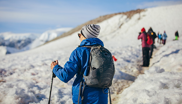 Antarctica travellers explore the shore