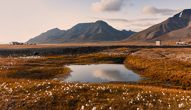 Spitsbergen in summer