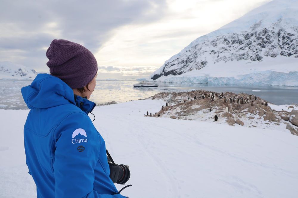 Antarctica visitor admiring penguins