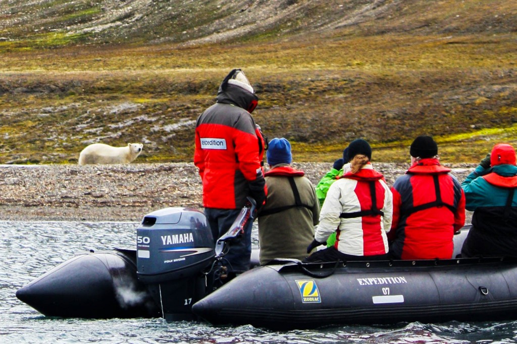 Travellers in a zodiac seeing a polar bear