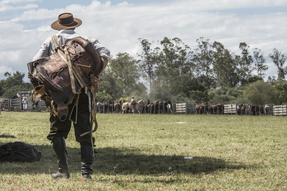 Gaucho in the Campo, Maldonado, Uruguay. Photo Credit: Shutterstock