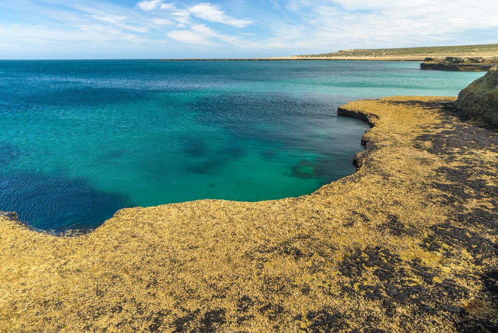 Valdes Peninsula