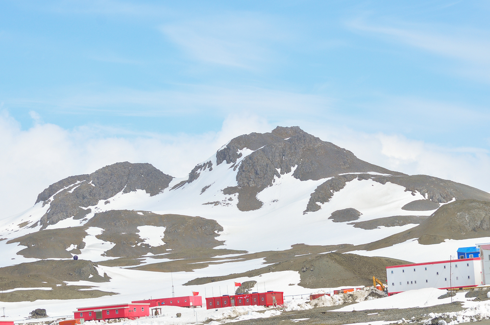 Snow at King George Island, Antarctica. 