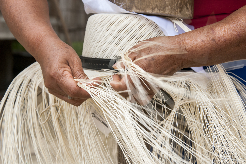 Creating a Panama hat of Toquilla palm.