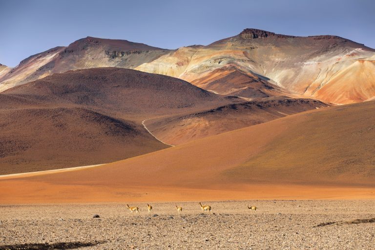 Bolivian Altiplano