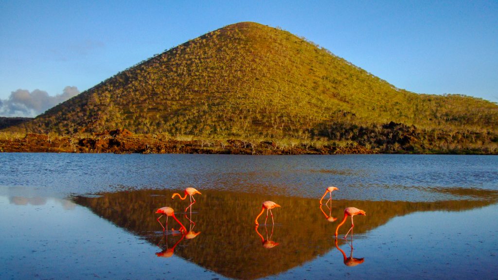 Floreana Galapagos