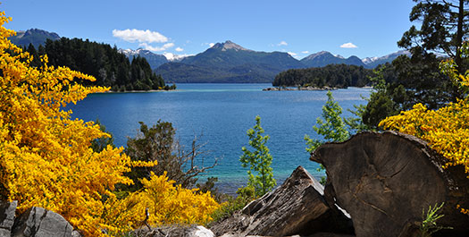 Arrive in San Carlos de Bariloche