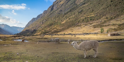 Lares Valley