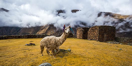 The Road to Ollantaytambo