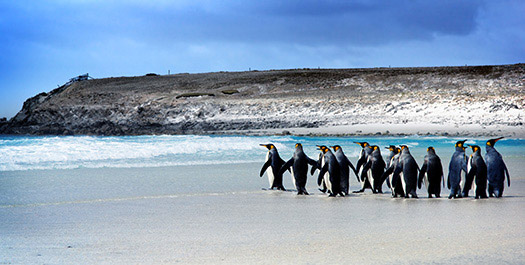 West Falkland Islands