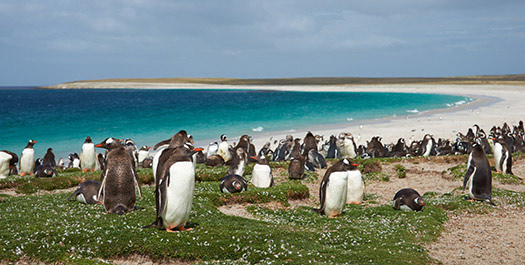 Port Stanley - East Falklands