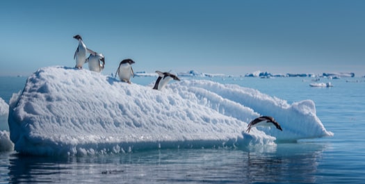 Immersive Antarctica - Day 8 to 10