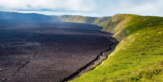 Sierra Negra Volcano & A. Tupiza Breeding Center