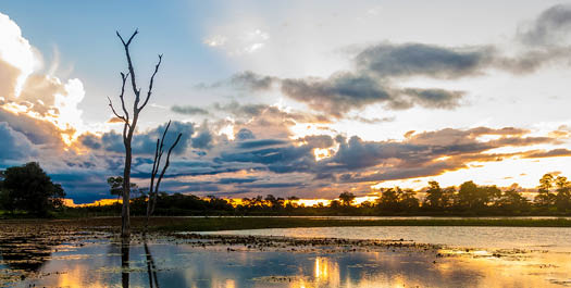 Amazon Ecopark Lodge - Meeting of the Waters