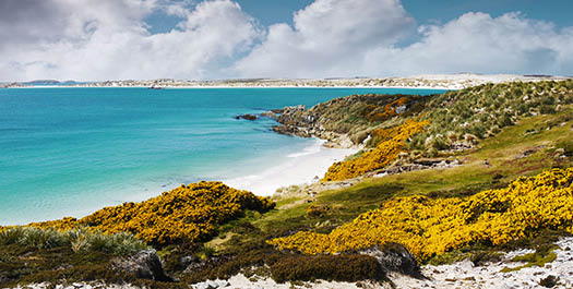 Falkland Islands