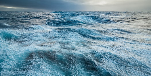 Crossing the Drake Passage - Day 10 & 11