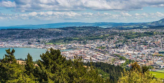 Arrival in Dunedin