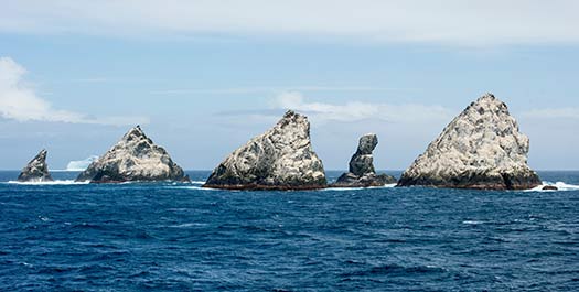 At Sea - South Georgia