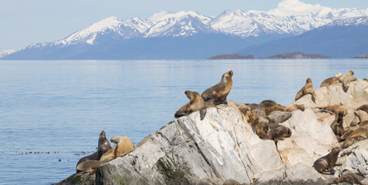 Embarkation in Ushuaia