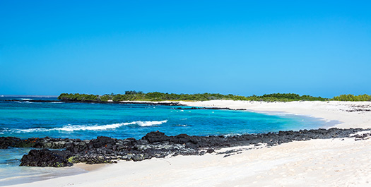 Arrival in Galapagos and Bachas Beach