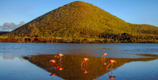 Cormorant's point & Post office bay