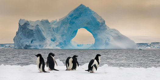 Antarctic Peninsula