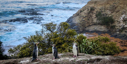 Antipodes Islands