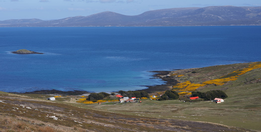 Carcass Island & Saunders Island