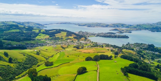 Embarkation in Dunedin