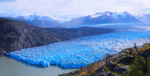 Grey Glacier