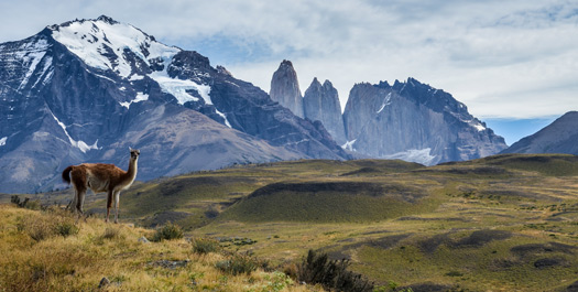 Torres del Paine NP Excursions