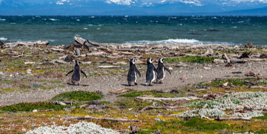 Depart Punta Arenas