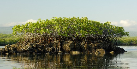 Santiago Island