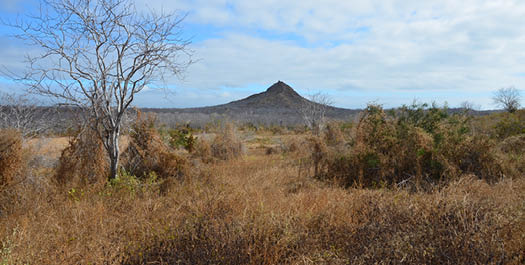 Santa Cruz Island / Santa Fe Island