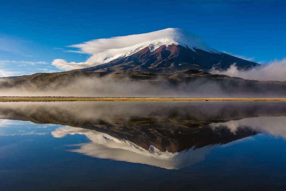 Cotopaxi National Park Excursion