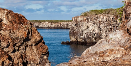 Genovesa Island: El Barranco & Darwin Bay