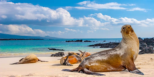 Española Island