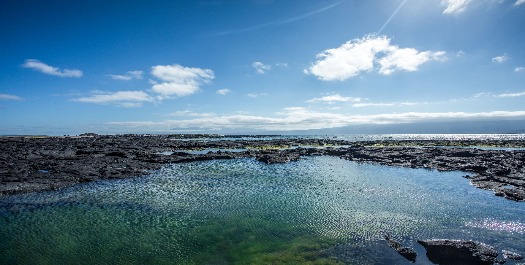 Fernandina Island / Isabela Island