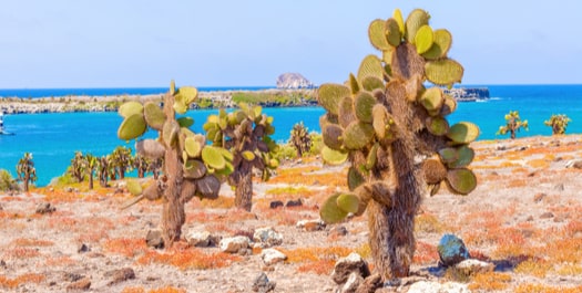 Santa Cruz Island / Santa Fe Island