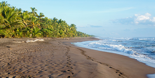 Tortuguero tours