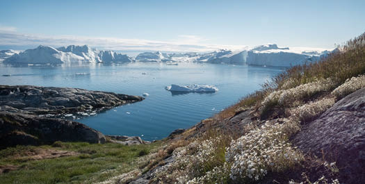 Ilulissat