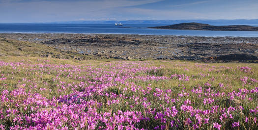 Iqaluit, NU, Canada