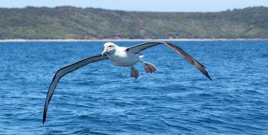 At Sea