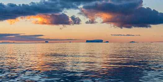 At sea: Crossing the Drake passage - Day 7 & 8