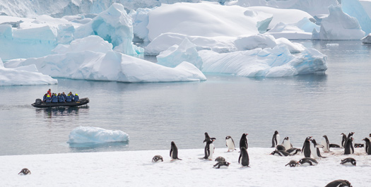 South Shetlands & Antarctica