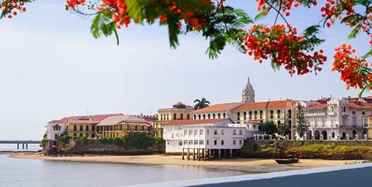 Bio-museum & Casco Antiguo Tour