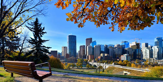 Arrive Calgary